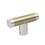 Esquire Knob 1-1/4" Polished Nickel/Golden Champagne