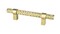 Radial Reign Knob Modern Brushed Gold