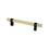 Radial Reign Knob 2in. Modern Brushed Gold/Matte Black